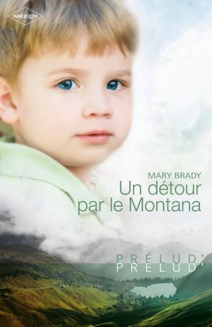 Book cover of Un détour par le Montana