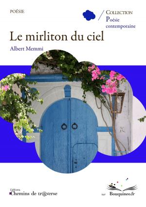 Book cover of Le mirliton du ciel