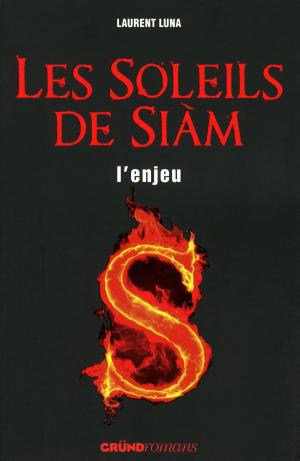 Cover of the book L'Enjeu by Emilie LARAISON