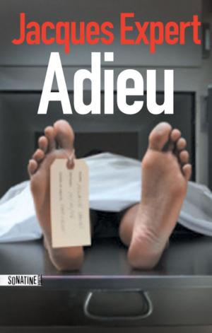 Cover of the book Adieu by Robert GODDARD
