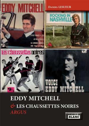 Cover of the book Eddy Mitchel & Les chaussettes noires by Stephen Davis