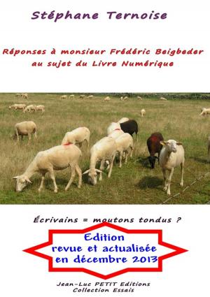 Cover of Réponses à monsieur Frédéric Beigbeder au sujet du Livre Numérique