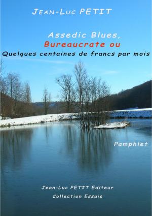 Cover of the book Assedic Blues, Bureaucrate ou Quelques centaines de francs par mois by François-Antoine De Quercy, Gustave Guiches