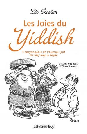 Cover of the book Les Joies du Yiddish by François Rivière
