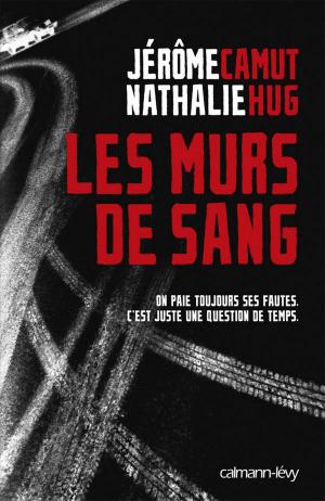 Cover of the book Les Murs de sang by Alain Gandy