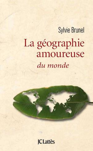 Cover of the book Géographie amoureuse du monde by James Patterson, Maxine Paetro