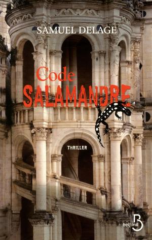 Cover of the book Code Salamandre by Jean-Luc BANNALEC