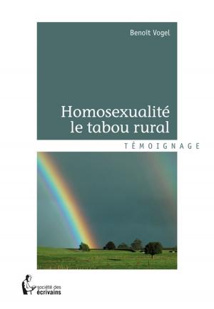 Cover of the book Homosexualité le tabou rural by Pascal Hulin