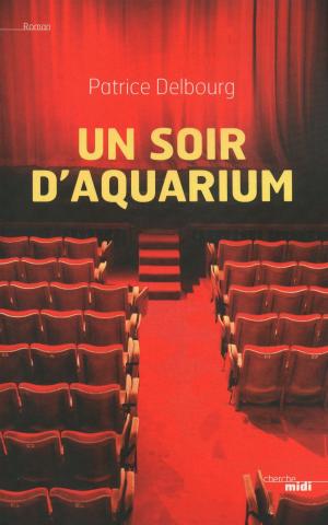Cover of the book Un soir d'aquarium by Yann QUEFFELEC