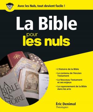Cover of the book La Bible Pour les Nuls by Jean-Christophe SALADIN