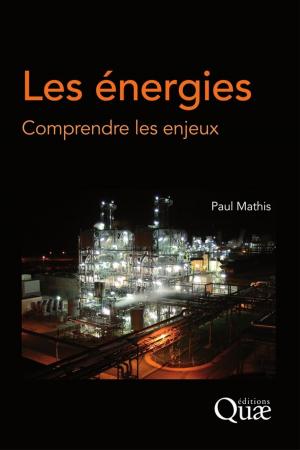 Cover of the book Les énergies by Patricia Ricard, Jean Monot