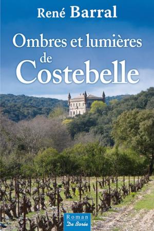 Cover of the book Ombres et lumières de Costebelle by Michel Verrier