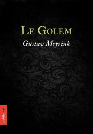 Book cover of Le Golem