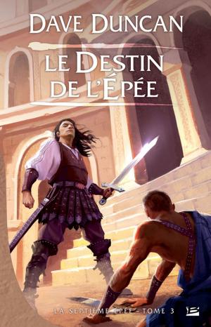 Cover of the book Le Destin de l'épée by Richard Sapir, Warren Murphy