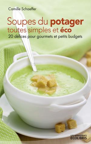 Cover of the book Soupes du potager toutes simples et éco by Jean Bernard Piat