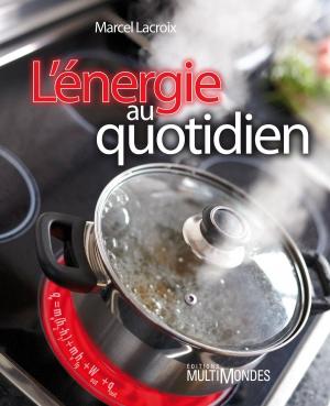 Cover of the book L’énergie au quotidien by Daniel Samson-Legault