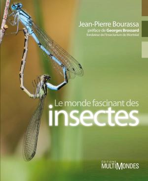 Cover of the book Le monde fascinant des insectes by Karine Hébert, Julien Goyette