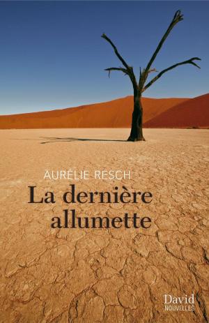 Cover of the book La dernière allumette by Jean-Claude Larocque, Denis Sauvé