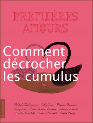 Cover of the book Comment décrocher les cumulus by Stanley Péan