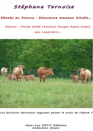 Cover of Ebooks en France : bienvenue Amazon Kindle ; Edition : Plutôt AGAK (Amazon Google Apple Kobo) que Lagardère