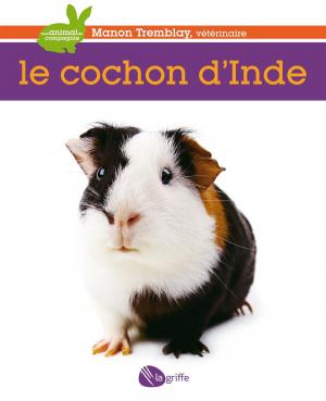 Book cover of Le cochon d'Inde