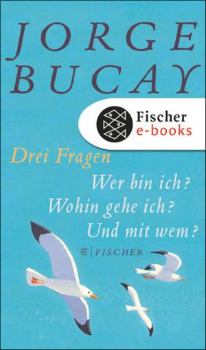 Cover of the book Drei Fragen by Eric-Emmanuel Schmitt