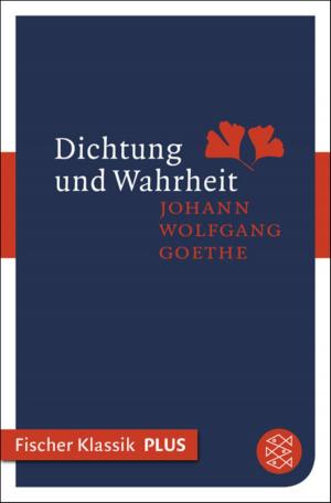 Book cover of Dichtung und Wahrheit