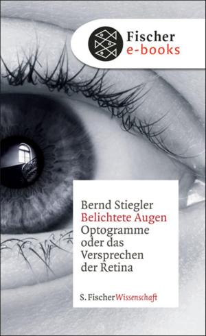 Book cover of Belichtete Augen
