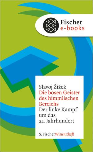 Cover of the book Die bösen Geister des himmlischen Bereichs by 
