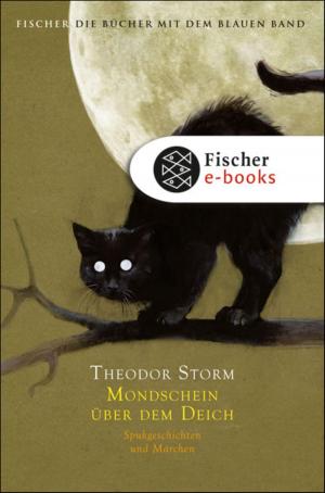 Cover of the book Mondschein über dem Deich by Wilhelm Busch