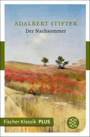 Book cover of Der Nachsommer