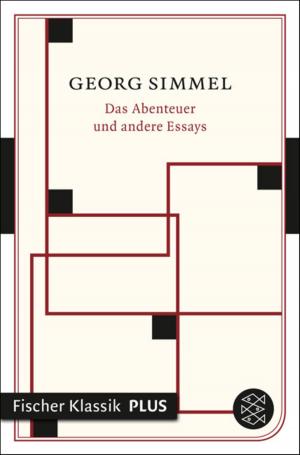 Book cover of Das Abenteuer und andere Essays
