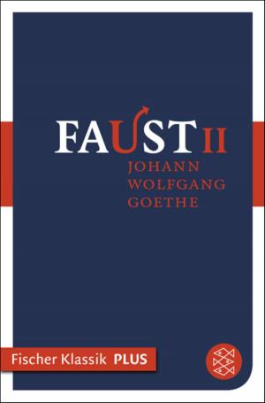 Cover of the book Faust II by Gerhard Roth