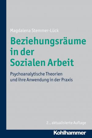 Cover of the book Beziehungsräume in der Sozialen Arbeit by Jürgen Wilbert, Stephan Ellinger