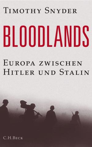 Cover of the book Bloodlands by Markus Roth, Andrea Löw