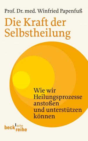 Cover of the book Die Kraft der Selbstheilung by Norbert Hoerster