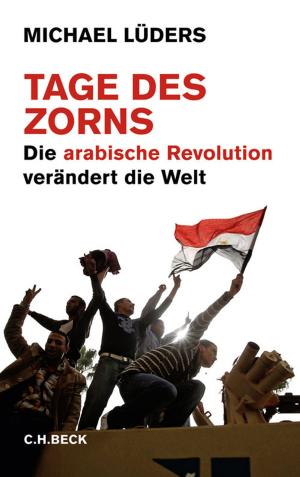 Cover of the book Tage des Zorns by Navid Kermani
