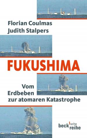 Cover of the book Fukushima by Katja Niedermeier