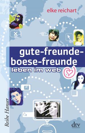 Cover of the book gute-freunde-boese-freunde leben im web by Sybil Volks