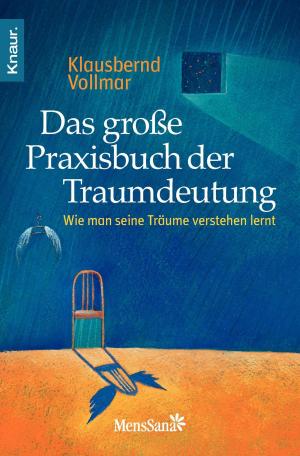 Book cover of Das große Praxisbuch der Traumdeutung