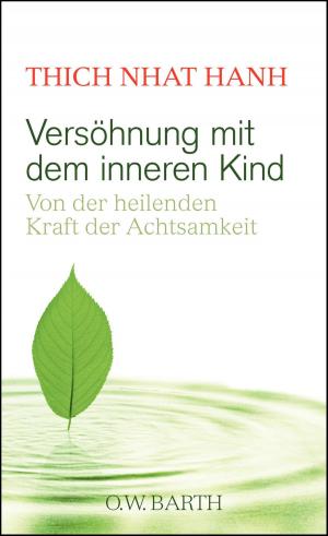 Cover of the book Versöhnung mit dem inneren Kind by Maren Schneider