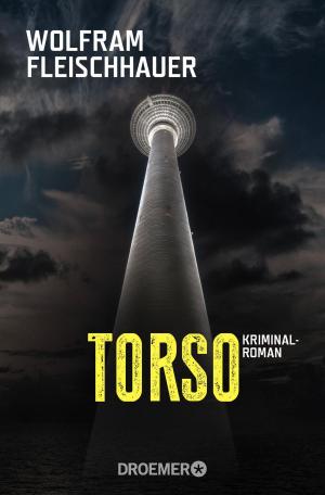 Cover of the book Torso by Jørn Lier Horst