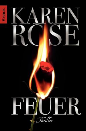 Cover of the book Feuer by Friedrich Ani