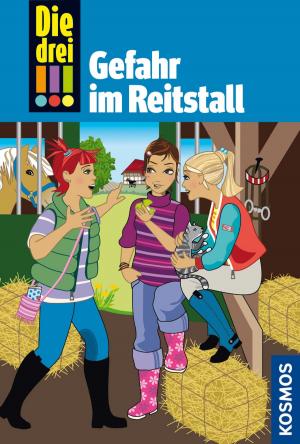 Cover of the book Die drei !!!, 13, Gefahr im Reitstall (drei Ausrufezeichen) by Frank Schneider, Leda Monza, Martino Motti