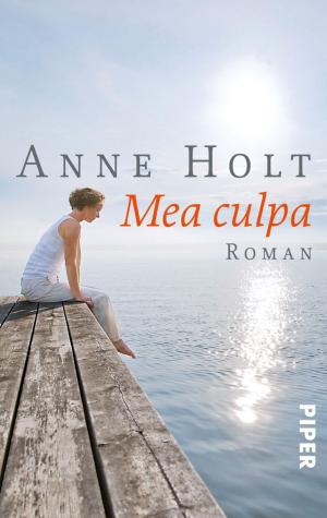 Cover of the book Mea culpa by Anita Shreve