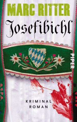 Cover of the book Josefibichl by Jagoda Marinić
