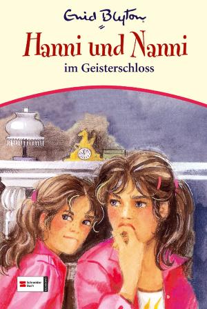 Book cover of Hanni & Nanni, Band 06