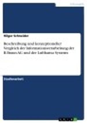 Cover of the book Beschreibung und konzeptioneller Vergleich der Informationsverarbeitung der B.Braun AG und der Lufthansa Systems by Christine Mühlhäußer