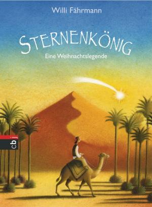 Cover of the book Sternenkönig by Robert Louis Stevenson, Frauke Nahrgang