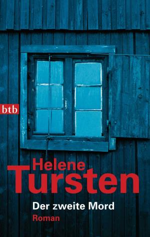 Cover of the book Der zweite Mord by Helene Tursten